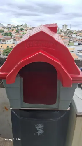 Casa de cachorro 