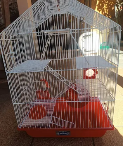 Gaiola hamsters