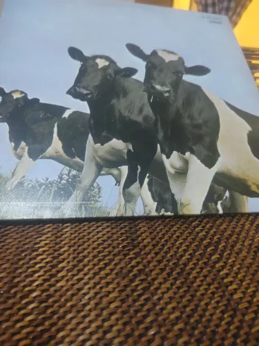 LP Raro Pink Floyd - Atom Heart Mother,1970