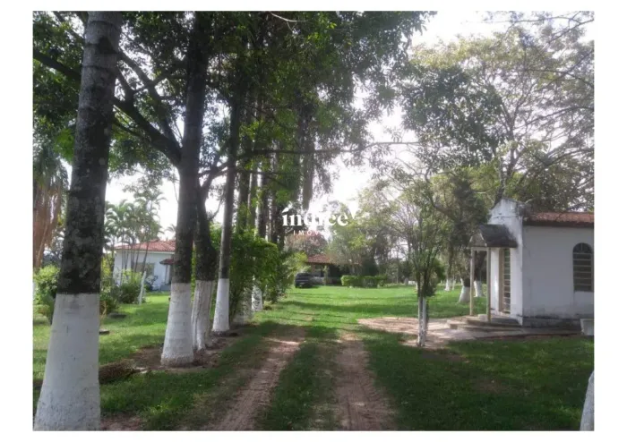 Rural à Venda em Cajuru  Imóvel Aceita Permuta