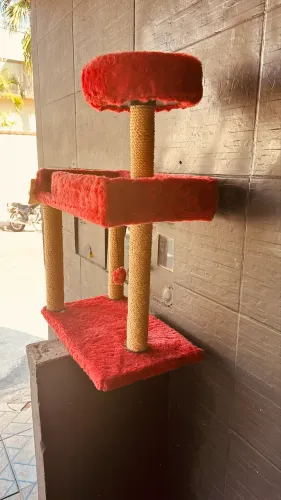 Arranhador para gato 2 andares ( não entrego)