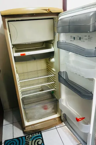 Geladeira consul uma porta 220v