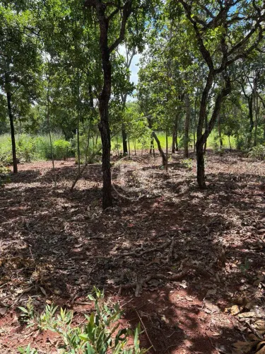 TERRENO JARDIM VERANEIO