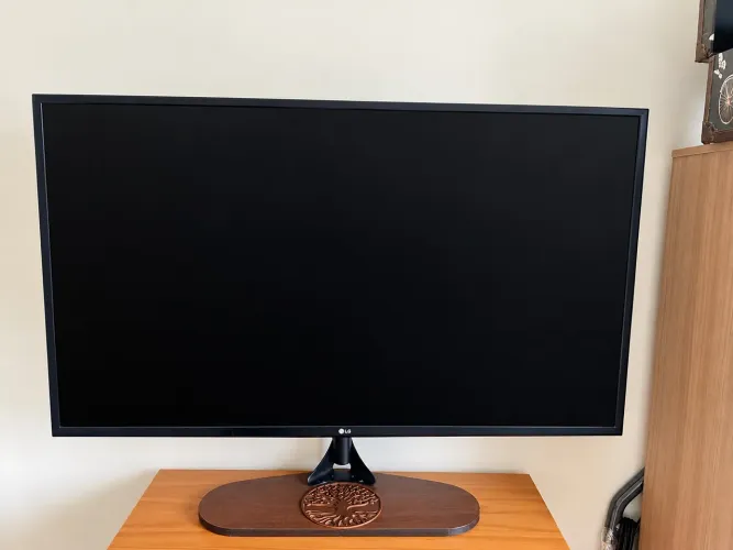 TV LG 49 LED Full HD (Modelo 49LF5100) - Excelente Estado
