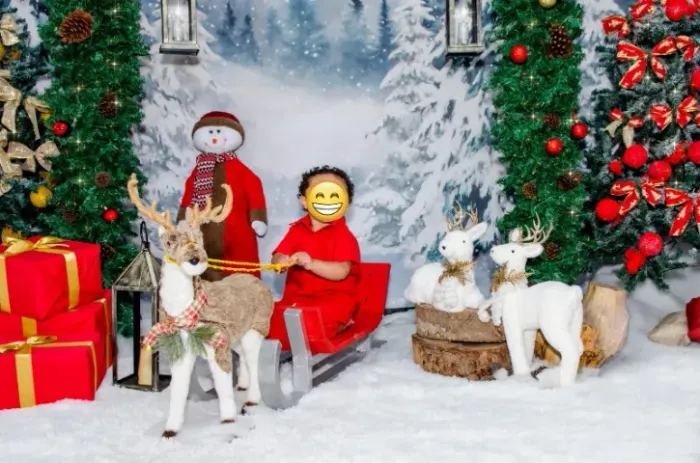 Vendo Trenó e Rena de natal