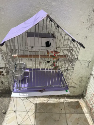 Vendo gaiola seminova 