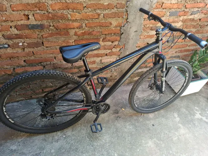 ARO 29