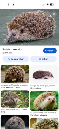 Aksjnsjs