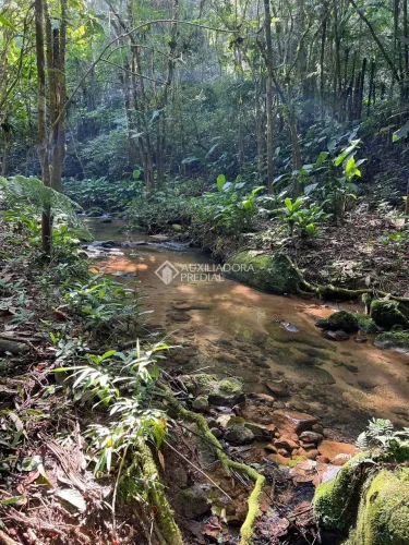Chácara 6,35 hectares c/nascente de água - Águas Mornas