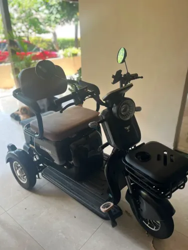 Triciclo Elétrico ULTRA MOOVE