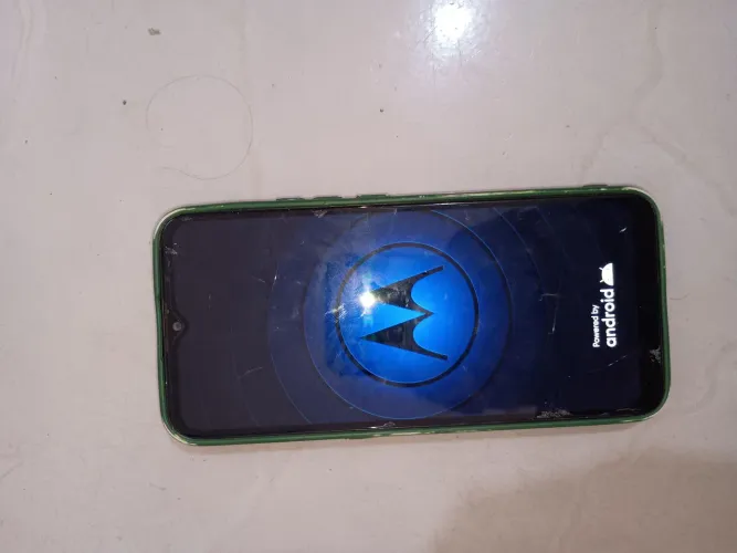Celular
