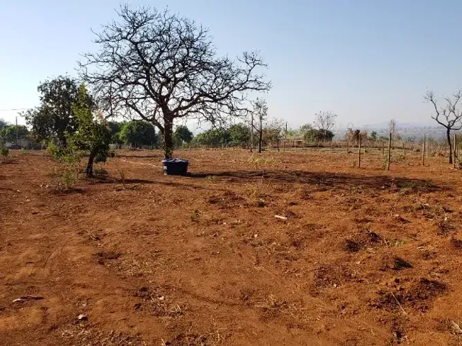 Chácara 5.000m² em Taboquinha (Padre Bernardo) - Escriturada, Cercada e Próxima ao Asfalto