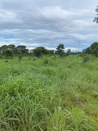 Chácara em colinas do Sul Goiás