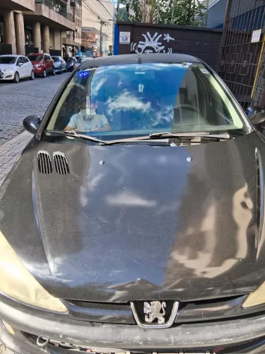 Peugeot 206 Presence 1.4/ 1.4 Flex 8V 5P 2007