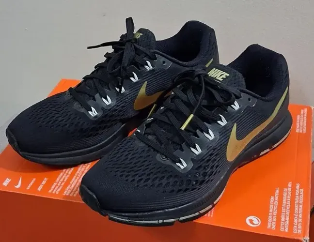 Tênis Original Nike Pegasus (Aceito Cartão)