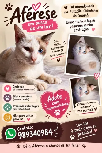 Gatinha