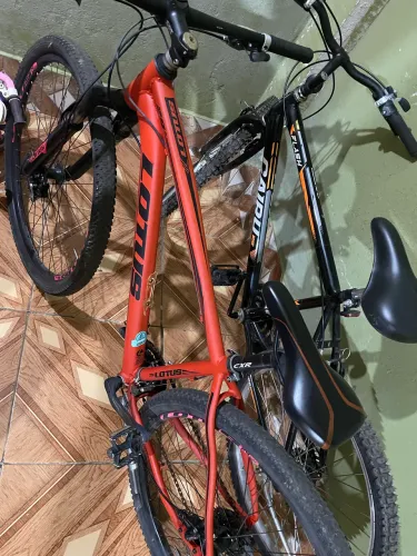 Bicicleta 