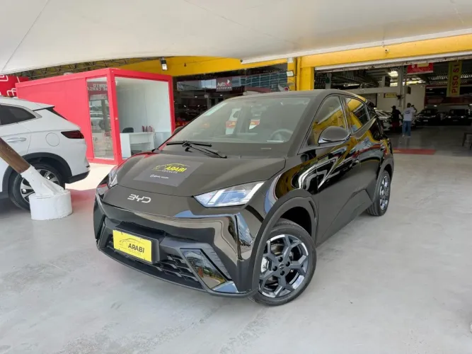 BYD Dolphin Mini GL 2027