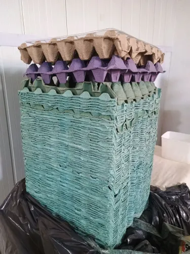 Cartela de ovos