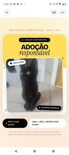 Adoção