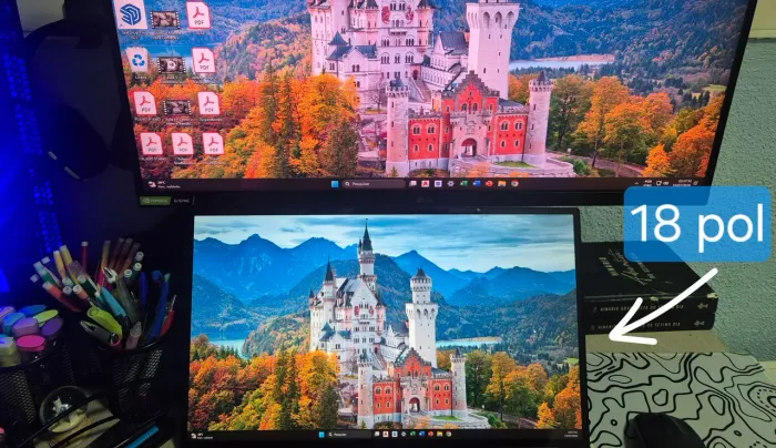 MONITOR