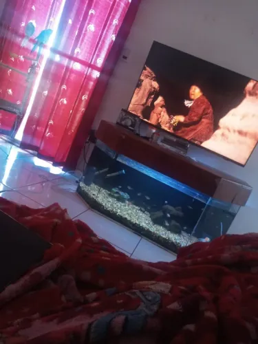 Aquário completo 