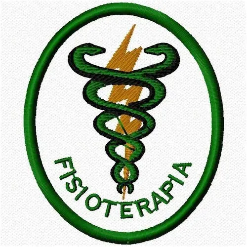 Fisioterapia domiciliar