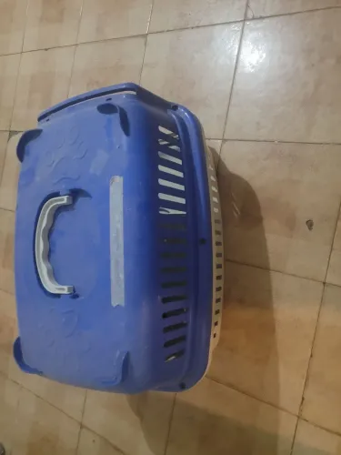 Casa de gato é cão 