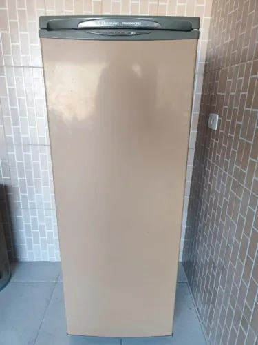Freezer Electrolux Prosdócimo F21 210 lts