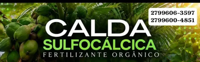 CALDAS SUFOCAUSTICA E ORGÂNICA 
