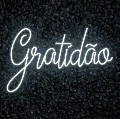 Painel Neon Led Gratidão Quarto Decoração