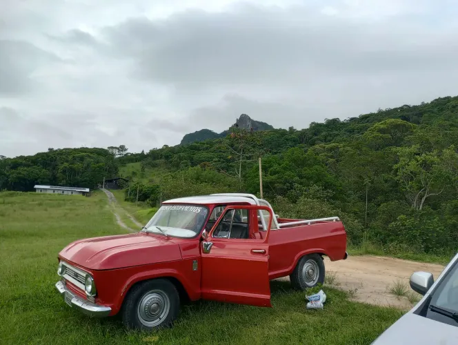 Chevrolet C-10 2.5/4.1 1973
