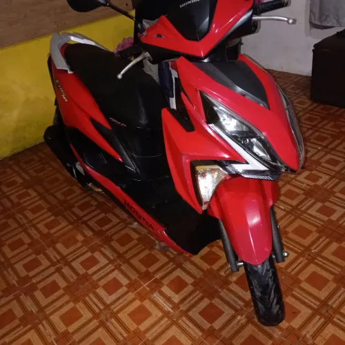 Moto boa