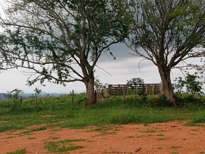 Sítio com 12 Alqueires ótimo para criação de gado... 7 km d Asfalto, 28 km d ANGATUBA, não