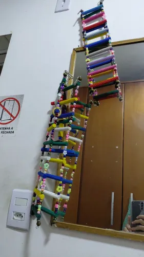 Brinquedos para passaros
