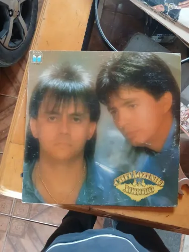 Disco de vinil 