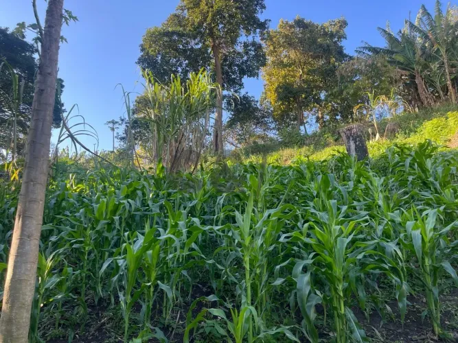 Terreno com 2.700m² à Venda no Brooklin, São Paulo/SP