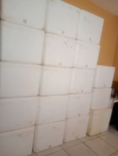 Vendo cxs isopor de 120 litros, todas com dreno contato ZAP * , valor 60 