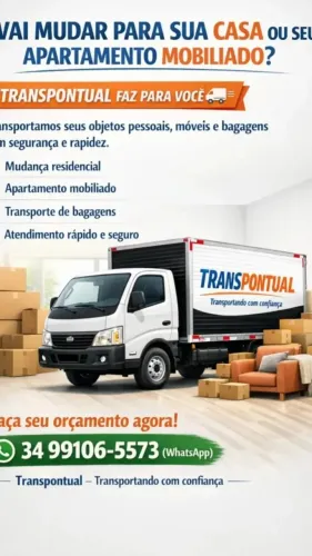 Mudança  frete  preço especial 