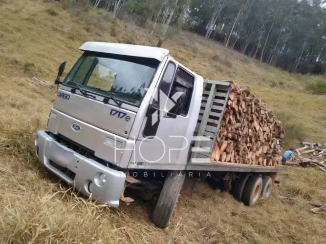 Fazenda à venda com 146 alqueires - aproximadamente 456 hectares - eucalipto - Santa Maria