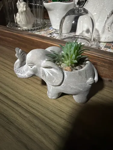 Elefante jardim