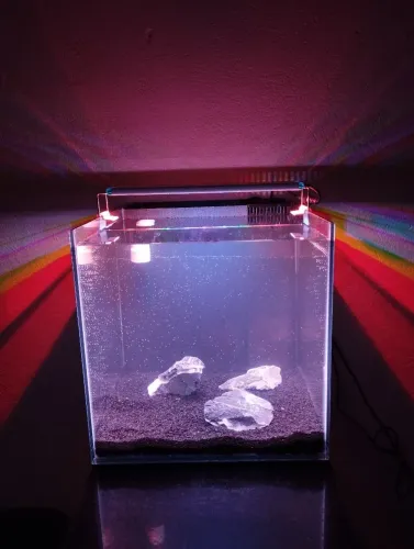 Aquário 30x30x40 com sump traseiro