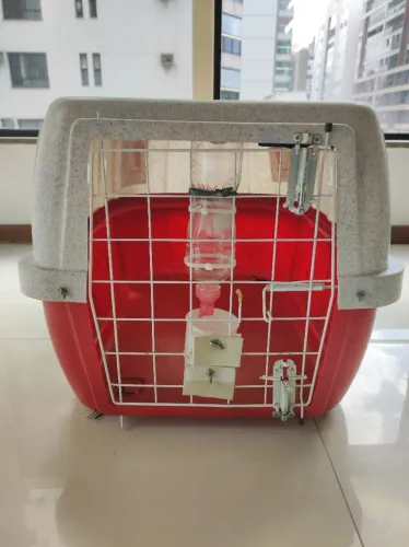Caixa de transporte para Pet porte médio