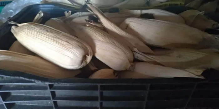 Milho Seco Novo - R$ 1,10/kg