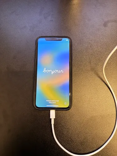 Iphone X 256 GB - Traseira Trincada - Falha Touch - Sem Garantia