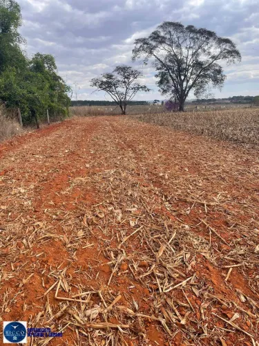 CHÁCARA À VENDA EM ITABERAÍ GO | 5 ALQUEIRES