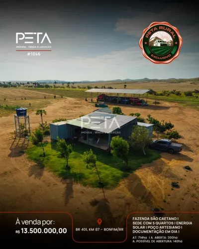 Fazenda São Caetano - BR 401 Bonfim 714 ha