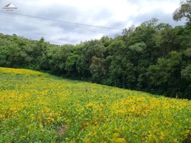 Chácara para Venda em Guabiroba Campo Largo-PR