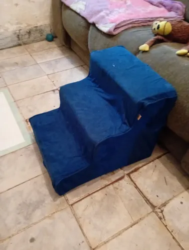 Escada para Pet