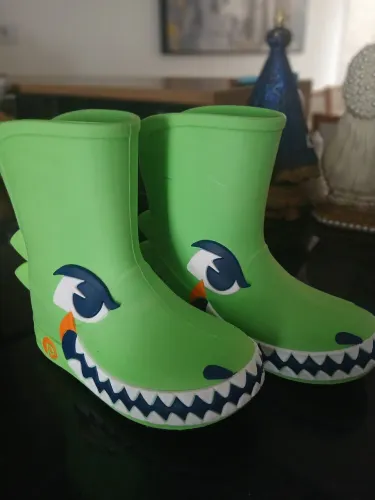 Bota Dinossauro 
